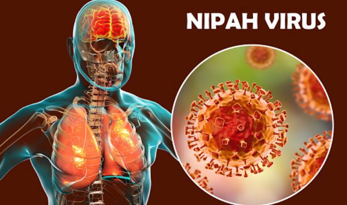 Nipah Virus
