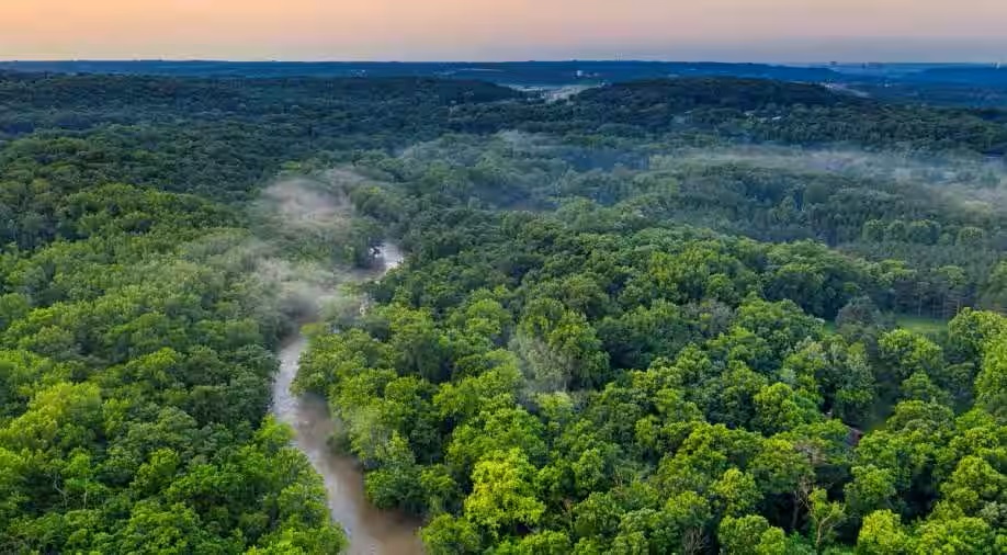 'Pristine' Amazon rainforest hiding thousands of ancient human-made structures