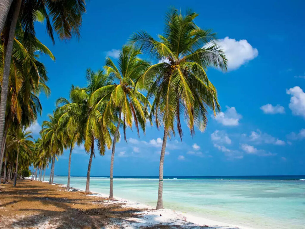 Discover the Enchanting Beauty of Lakshadweep Islands: Your Ultimate Travel Destination Guide